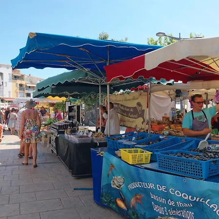 L'ile Des Marinas By Interhome Agde